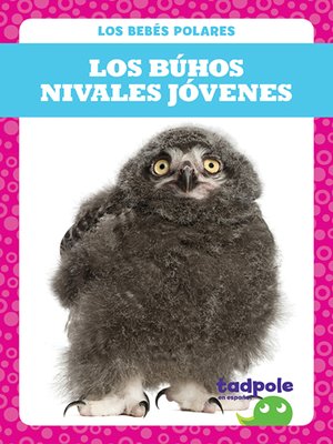 cover image of Los búhos nivales jóvenes (Snowy Owlets)